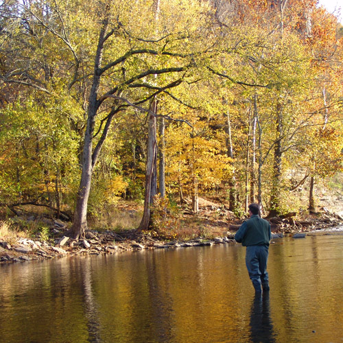 Fall Fishing